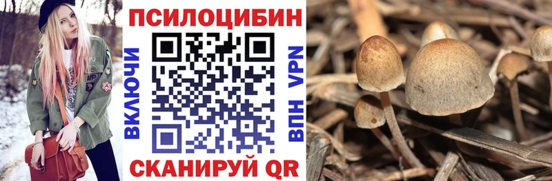 Псилоцибиновые грибы мухоморы  маркетплейс телеграм  Жуковка  купить закладку  мега ссылки 